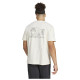 Adidas Ανδρική κοντομάνικη μπλούζα Terrex Polygiene Graphic Tee